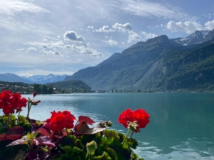Thumbnail of post image 114