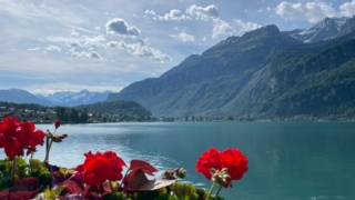 Thumbnail of post image 133